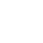 owl-150x150